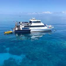 Reef Experience guests